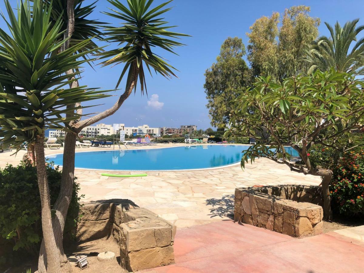 Kings Palace - Fabulous Pool-Side 2 Bed Apartment 파포스 외부 사진